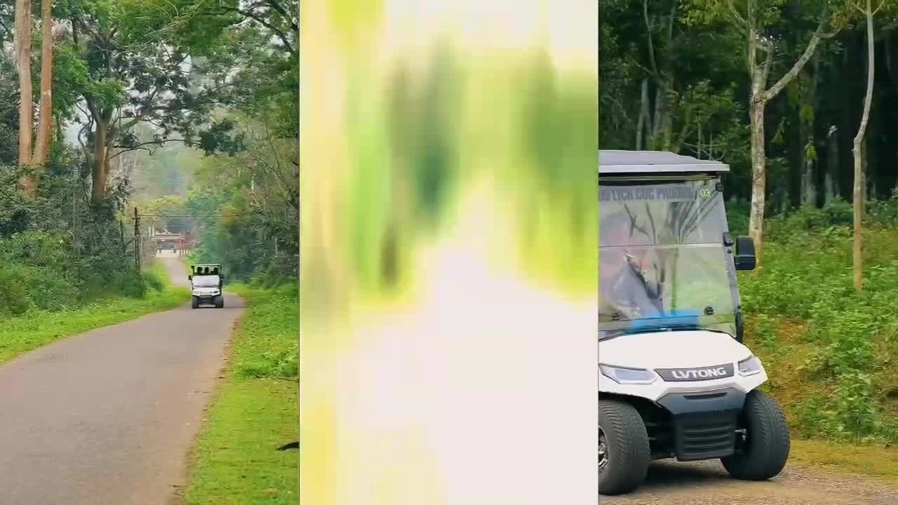 Khoảnh khắc hươu 'đấu võ' khiến nhiều khách thích thú tại Cúc Phương