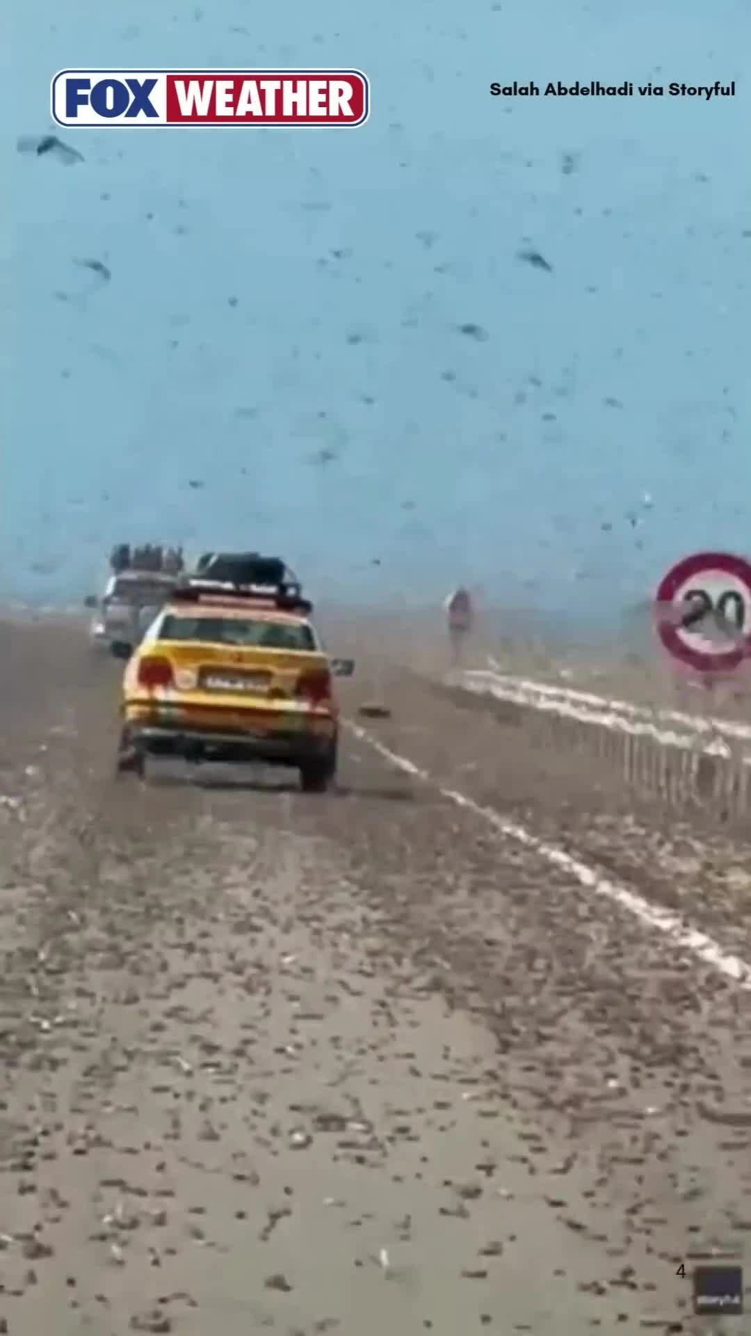 Khoảnh khắc như 'tận thế' khi lái xe qua đàn châu chấu ở Sahara