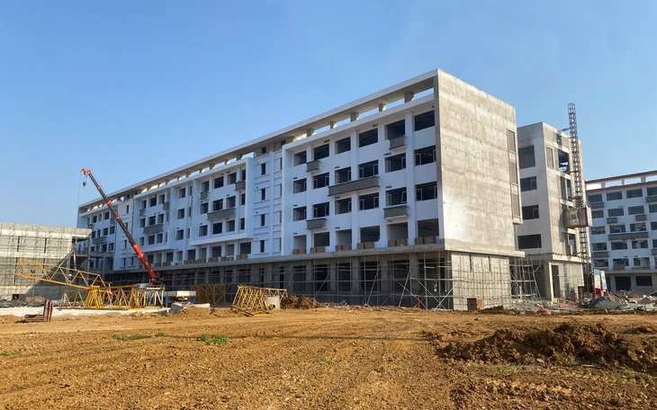 Di dời đại học ra ngoại thành - Kỳ 4: Hạ tầng và hệ sinh thái phải đi trước - Ảnh 3.