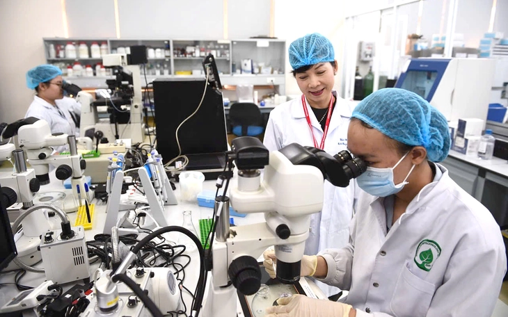 Nhân lực chất lượng cao: Cần cả hệ sinh thái, không chỉ đào tạo - Ảnh 2.