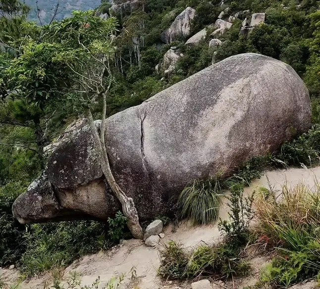 rf3ucolnkj1-9cou6r9md72-1ym648bw4k3 Phát hiện 'lợn đá nghìn năm tuổi' giống hệt Trư Bát Giới, người dân xôn xao Ảnh 1