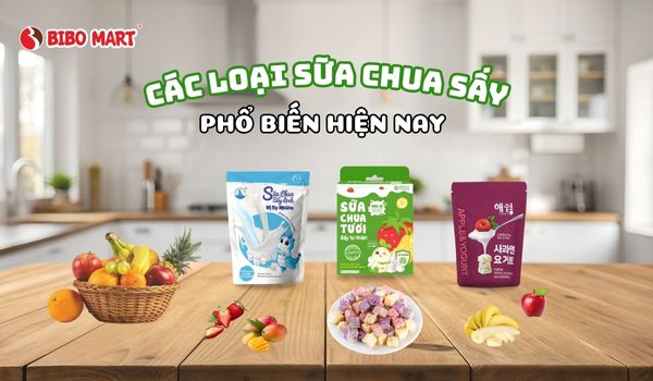 sua-chua-say-209012026092615-1 Sữa chua sấy là gì?