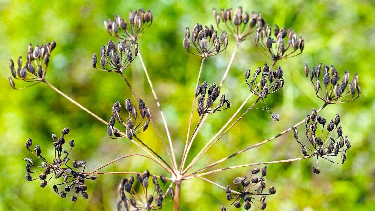 thi-la-4a-jpg-1773291603-1773291833-1773460623-1773460725-1773460774