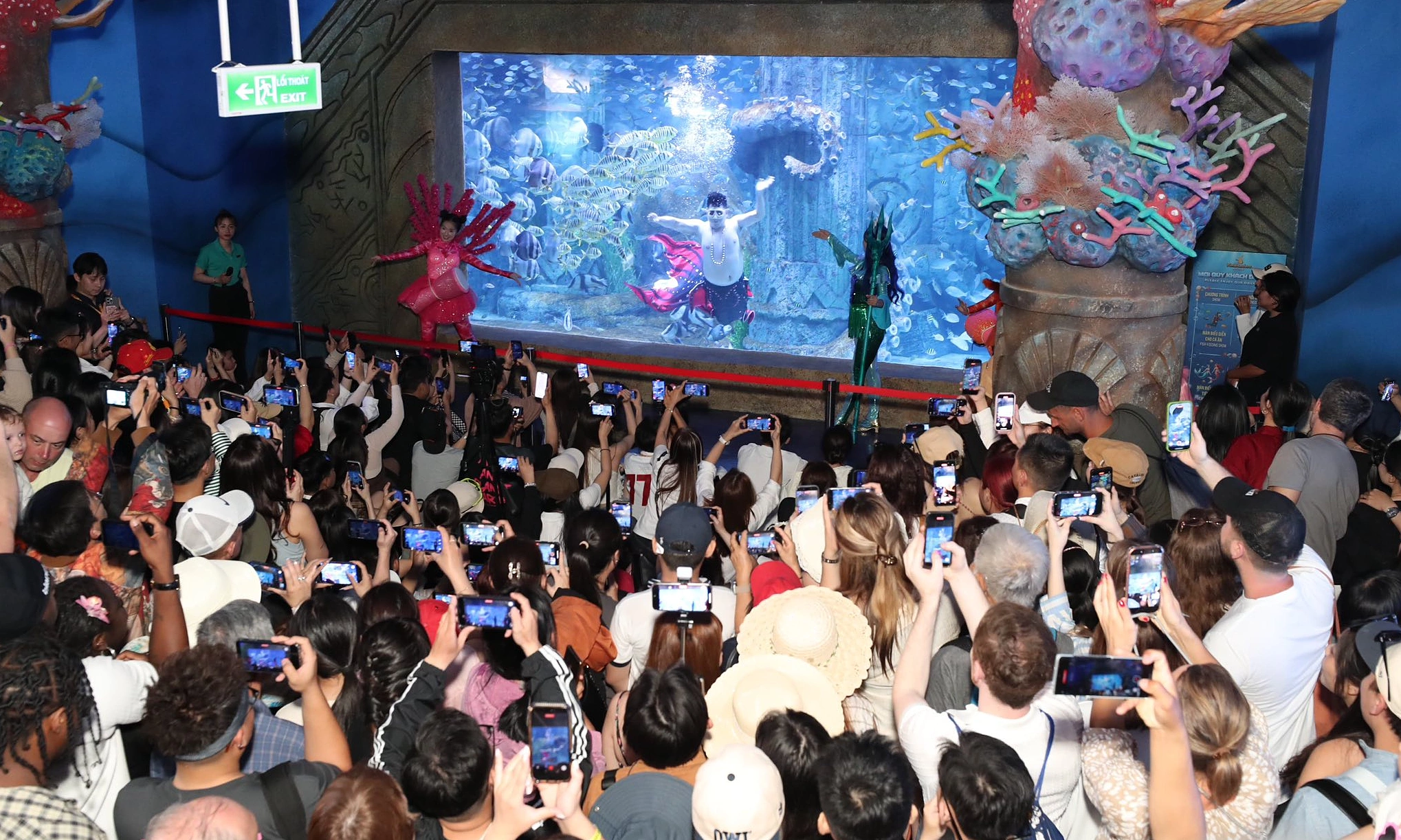 'Tiên cá béo' gây sốt tại thủy cung Nha Trang