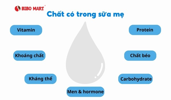 trong-sua-me-co-chua-nhieu-chat-dinh-duong-thiet-yeu22112025095831 Trong sữa mẹ có chứa nhiều chất dinh dưỡng thiết yếu