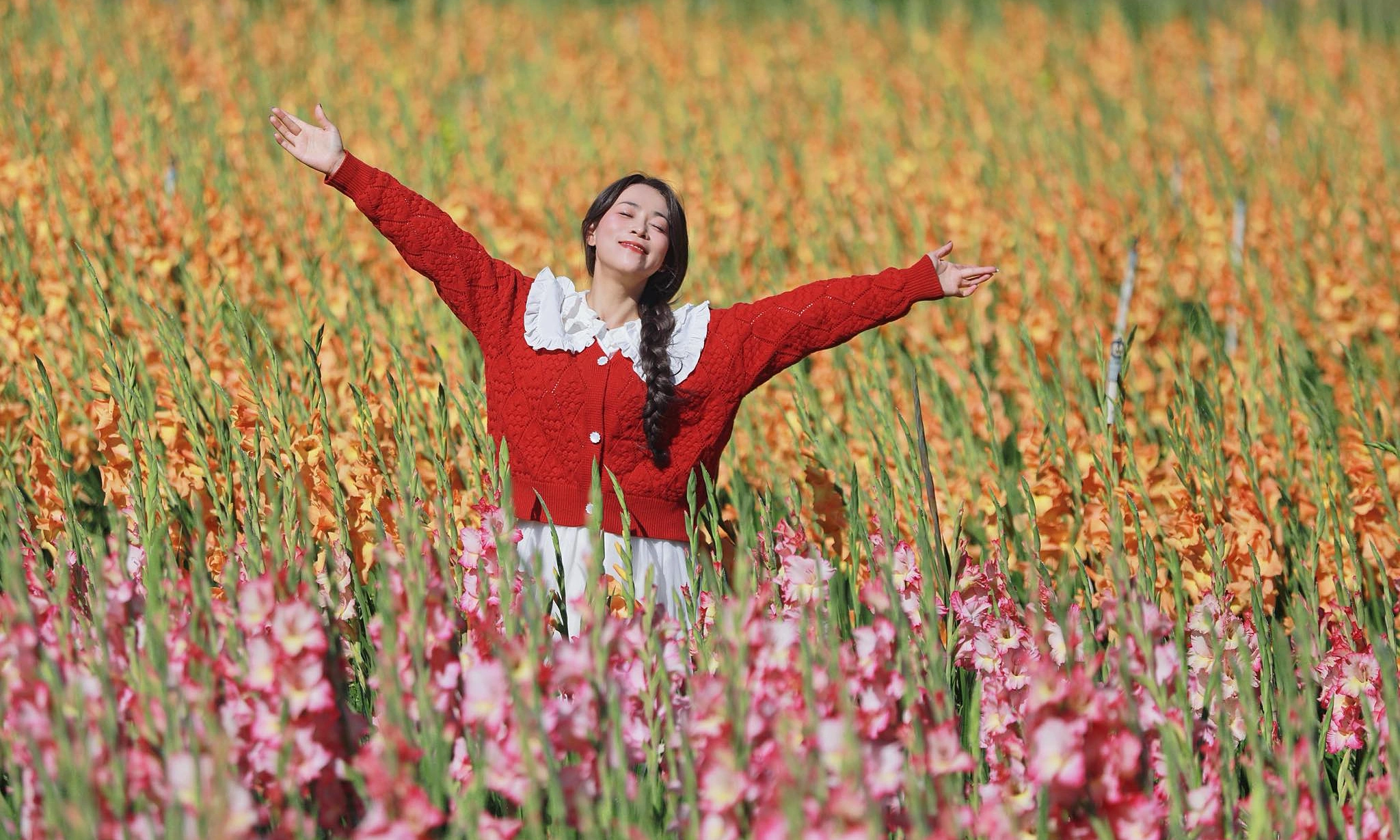 Vườn lay ơn Đà Lạt nở muộn vẫn hút khách nhờ mạng xã hội