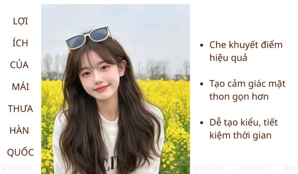 Lợi ích của mái thưa bạn nên biết