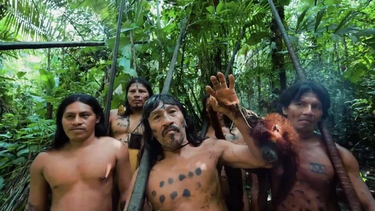 Săn khỉ cùng bộ lạc trong rừng Amazon