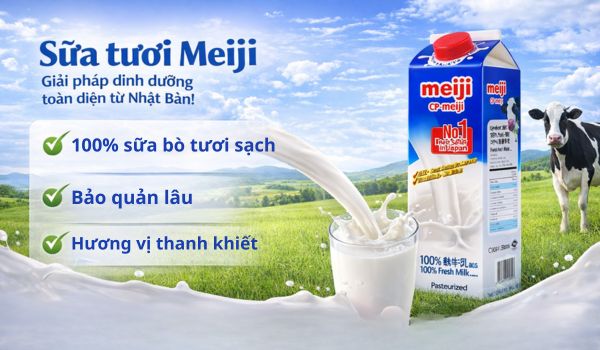 sua-tuoi-meiji-706042026083754 điểm nổi bật của sữa tươi meiji