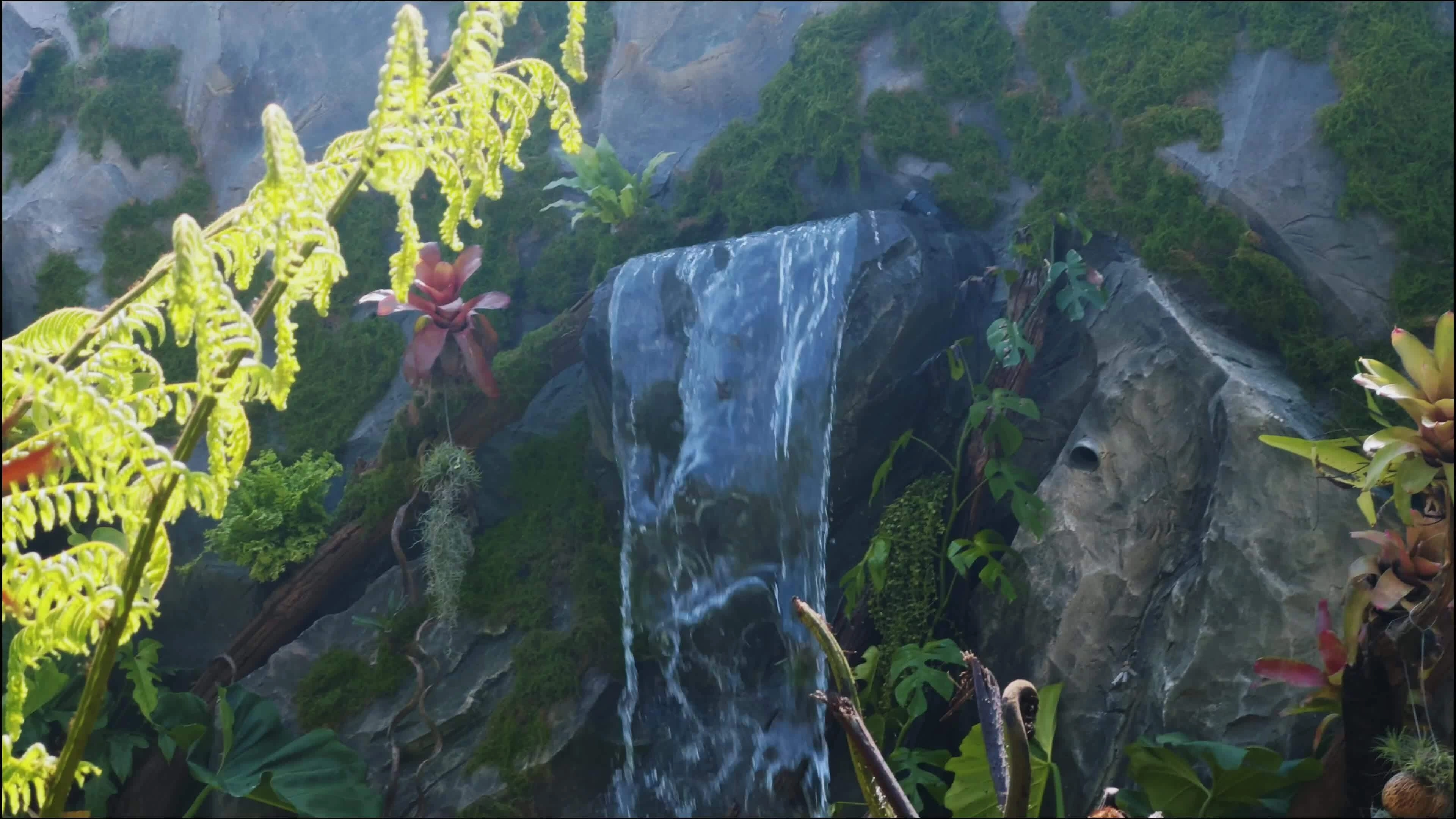 Thác nước trong quán cà phê TP HCM