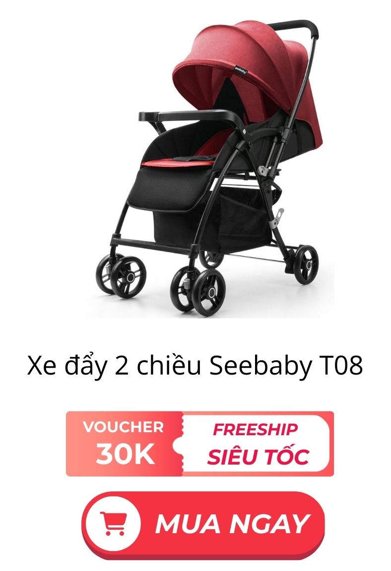 Xe đẩy 2 chiều Seebaby T08
