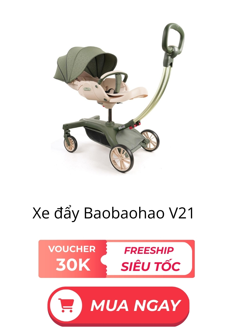 Xe đẩy Baobaohao đa chức năng