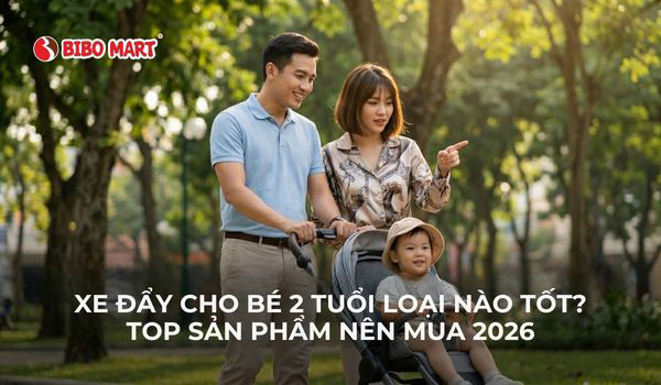 xe đẩy cho bé 2 tuổi