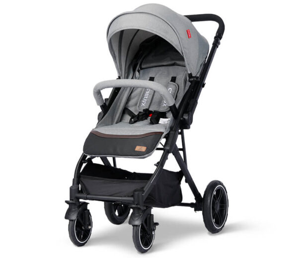 Xe đẩy 2 chiều thương hiệu Chilux